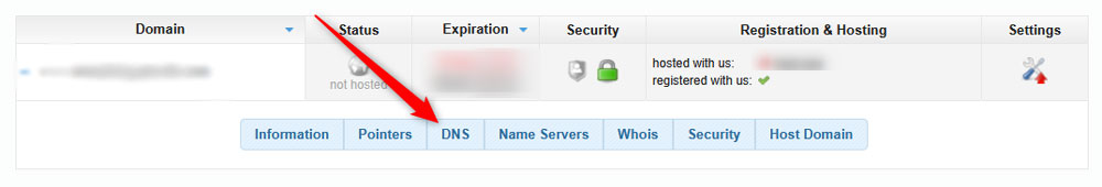 Select DNS to access these settings of your hosted domains