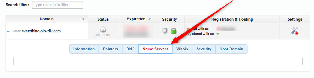 Click the Name Servers button in the Domain Manager box