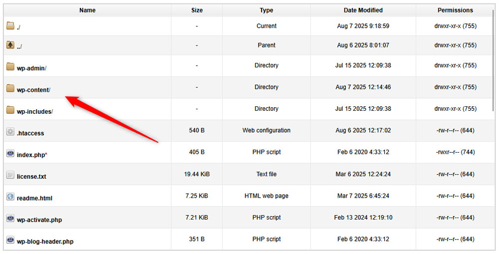 locate the wp-content folder and open it