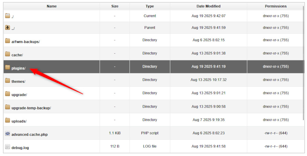 Open the plugins/ folder within your WordPress site directory
