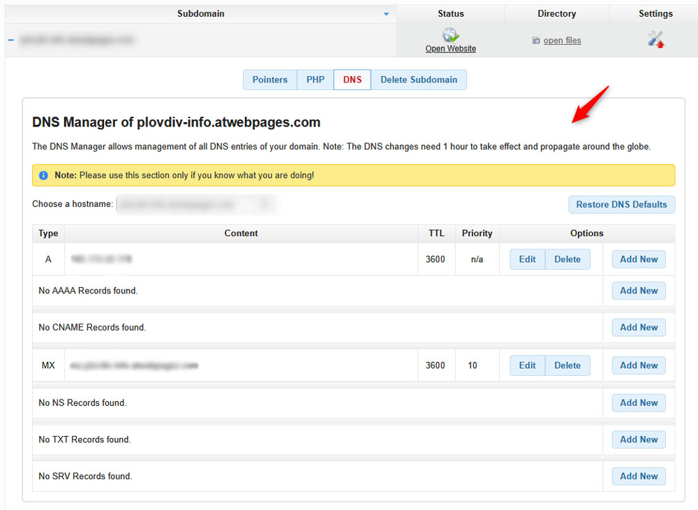 Section with DNS settings for your domains