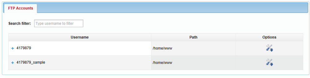 List of FTP Accounts