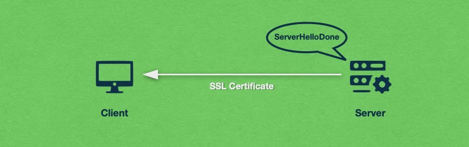 The server then proceeds to send a copy of its SSL certificate to the client.