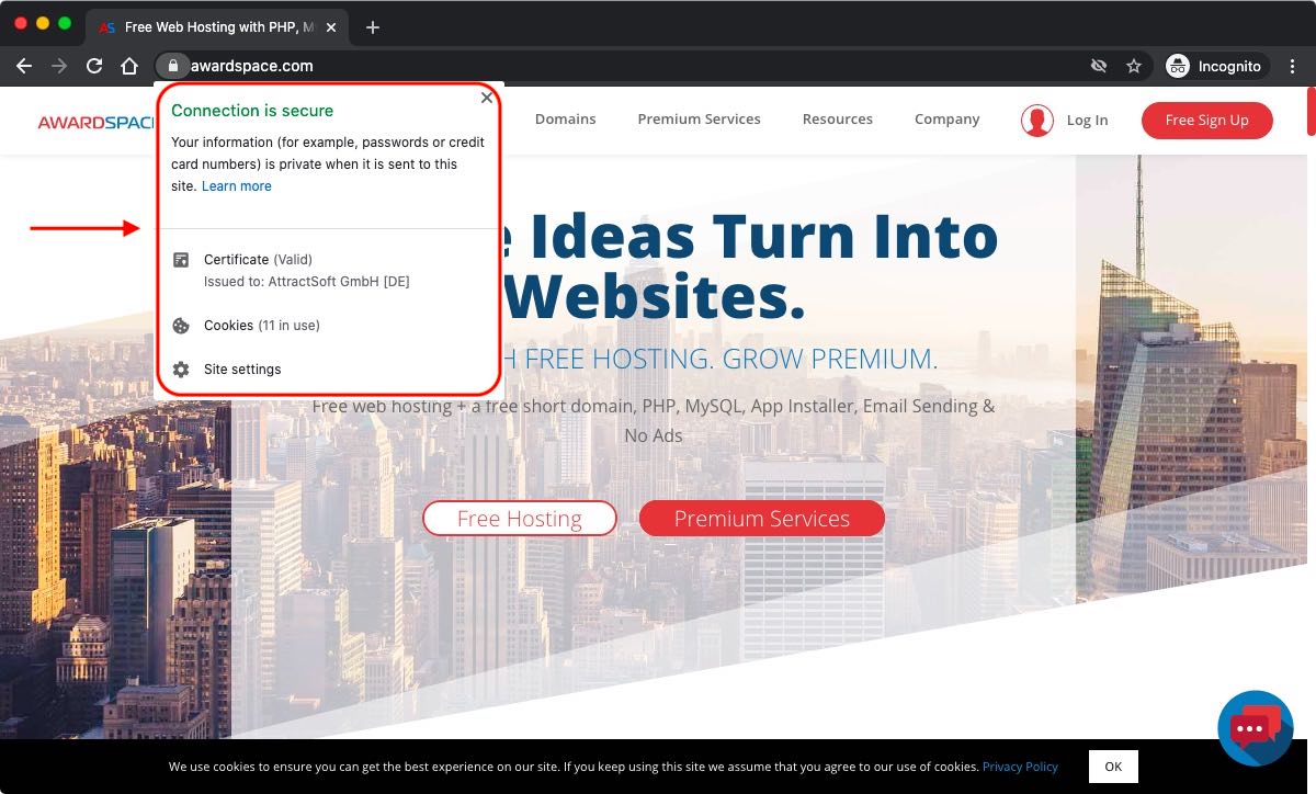 Clicking on the padlock icon in the browser address bar should reveal additional details about the SSL certificate that the site uses.